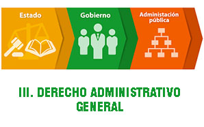 III. DERECHO ADMINISTRATIVO GENERAL (AE)